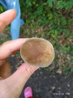 P80726-190653.webp P80726-190653.webp