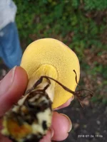 P80726-190651.webp P80726-190651.webp