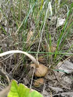 P80726-190501.webp P80726-190501.webp