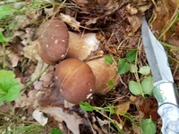 20180726_160643.webp