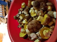 20180726_190838.webp