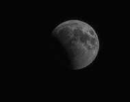 IMG_4561-2.jpg