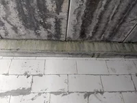 IMG_20180801_170609461.webp