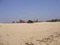 P1010070.webp