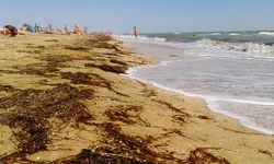 IMG_20180803_102205.webp