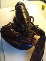 IMG_20180804_180415666.jpg