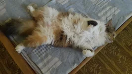 20180621_090903.webp