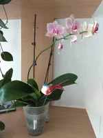 IMG_20180812_161018.webp