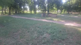 DSC_0046.webp