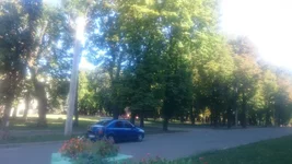 DSC_0003.webp