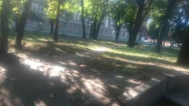 DSC_0012.webp