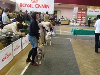  и голубой.webp