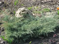 IMG_4653_изменить размер.webp