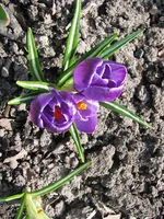 IMG_4655_изменить размер.webp