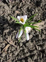 IMG_4657_изменить размер.webp