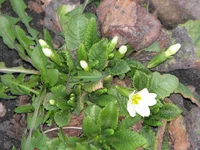 IMG_4688_изменить размер.webp