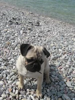 IMG_1694.webp