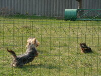 DSC02378.JPG