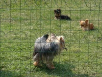DSC02389.webp