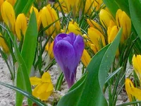 2fce3b74404f.webp
