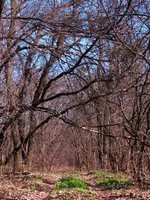 DSC_8959_1.webp