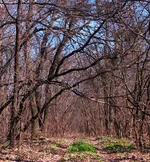 DSC_8959_2.webp