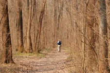 DSC_0736.webp