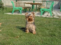 DSC02407.webp
