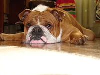 DSC07438.webp