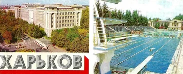  (42).webp