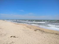 IMG_20180820_110156.webp