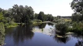 20180819_120625.webp