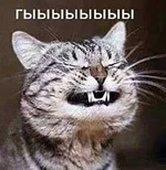  гы.webp