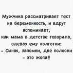 .webp