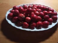 IMG_20180822_212712.webp