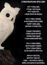 FB_IMG_1535005951415.webp