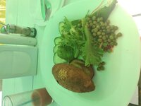 IMG_20180823_134445.jpg