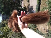 20180823_123832.jpg