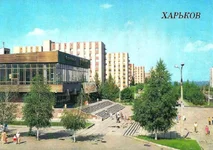  (46).webp