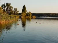 IMG_20180824_185330.webp