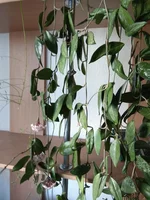 IMG_20180824_092844.webp
