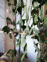 IMG_20180824_092836.webp