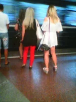 Photo0136.webp