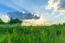 20180708-DSC00218-800x533.webp