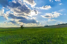 20180708-DSC00117-800x533.webp