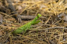 20180826-DSC01546-800x533.webp