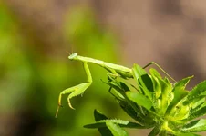 20180722-DSC00232-800x533.webp