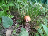 IMG_20180901_124906.webp