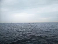 IMG_20180901_154940.webp