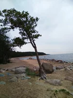 IMG_20180901_154711.webp
